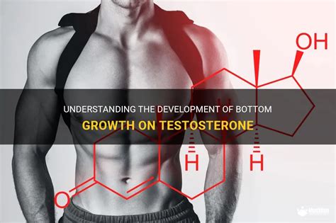 bottom growth|Bottom Growth and Genital Changes on Testosterone